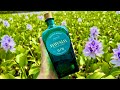 【逆転】外来種の害草で作った酒が世界一美味い件について