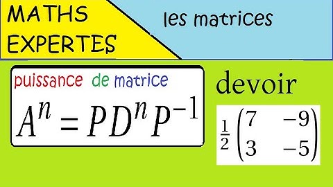 Terminale Maths Expertes- Les matrices - GRAND CLASSIQUE exercice : puissance d