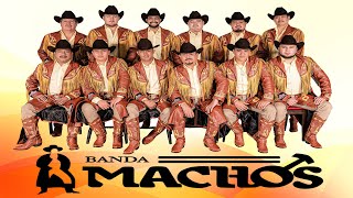 Banda Machos🎸Chiquita Bonita🎸Mi Viejo🎺 Surprising Secrets Band 🎸MIX 🎸Banda 🎺El Arbol🎸Usted🎺Mi Viejo