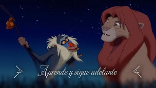 Frases de películas animadas para aprender y reflexionar. Conexión cine.