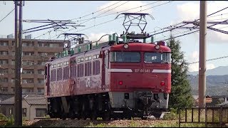 EF81 141 単機回送　信越本線下り