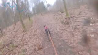 BCF: Dogscooter Championship 2024 Day 2 with Zoran part 2