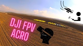 DJI FPV Manual flight