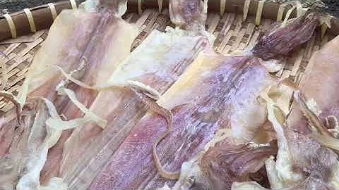 𝐊𝐡𝐨̂ 𝐌𝐮̛̣𝐜 𝐏𝐡𝐮́ 𝐐𝐮𝐨̂́𝐜 𝐒𝐢𝐳𝐞 𝐕𝐈𝐏