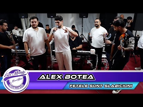 Alex Botea - Fetele sunt slabiciuni by👍Never Hide Events🔔