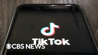 How a proposed U.S. TikTok ban would work