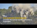 SOS Parques Nacionales: La Crisis de Conservación Amenaza a Colombia - TvAgro por Juan Gonzalo Angel