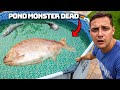 I Found The Pond Monster Dead