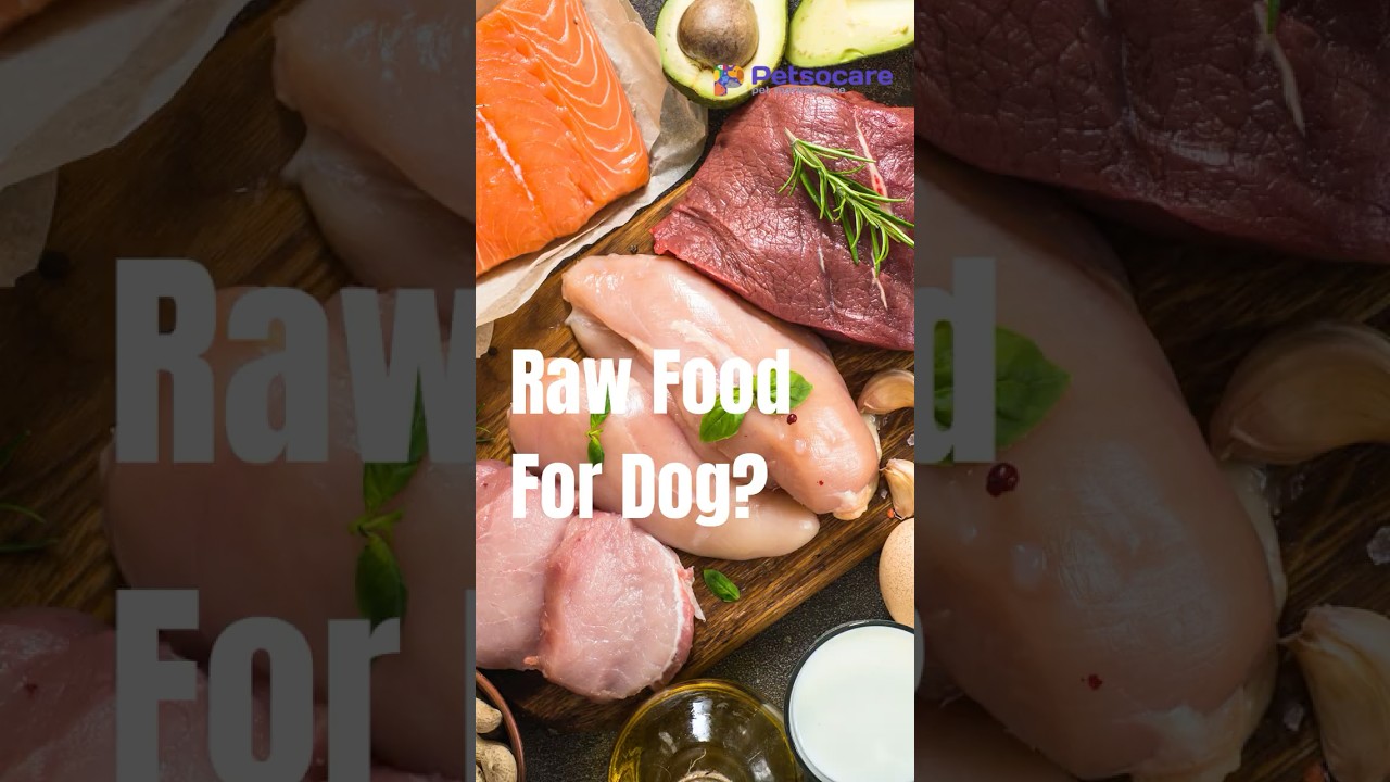 Best Raw Dog Food