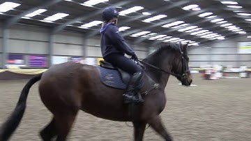 Gridwork with skinny fences
