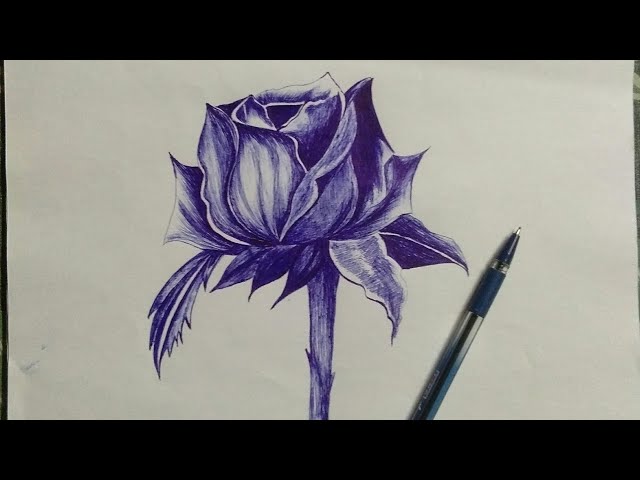 Rose Flower Ballpoint Pen Drawing Drawing by Daria Maier  Artfinder