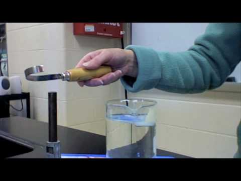 81042 Lichtwippe B 228 Rchen Bimetall Doovi