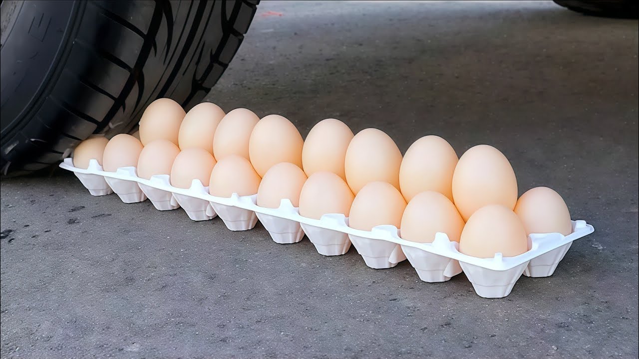 Experience #crushingasmr#crushingthings#crushing#crunchy#crunchysounds#crunchyasm