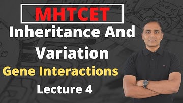 Inheritance and Variation | Gene Interactions | Lecture 4 | MHTCET | Class12 | Board | By JD Sir