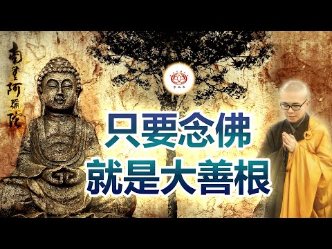 只要念佛就是大善根 👼 | 净本法师 主讲