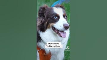 Welcome to Fitchburg State University! 💚💛🤍