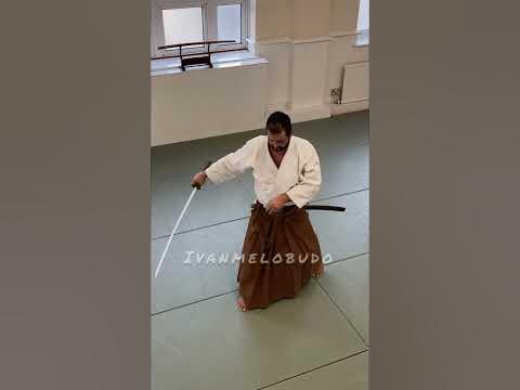 Синдо Рю кимоно адидас