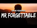 David Kushner - Mr. Forgettable (Lyrics) &quot;hello hello are you lonely&quot;