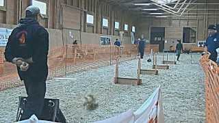GKSK Cani-ball EFC 2013