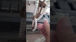 8 September 2022 today's news Trek fm