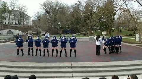 The Ohio State University | Delta Phi Lambda Charter Class Reveal (Spring 2019)