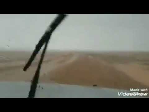 يا ذيب اتلفتنا بعواك دور لجوعك رجم ولهمي شعيب 