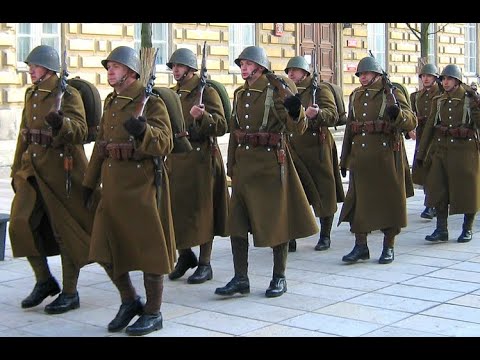 The Polish Invasion Of Germany 1939