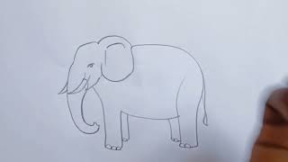 how to draw elephant drawing easy step by step@Aarav Drawing Creative