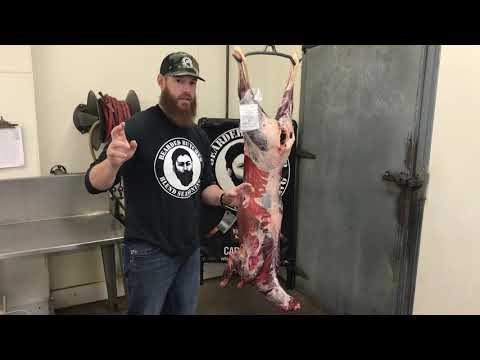 Come invecchiare una carcassa di cervo come i Bearded Butchers!