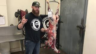 How to DryAge a Deer Carcass by The Bearded Butchers!