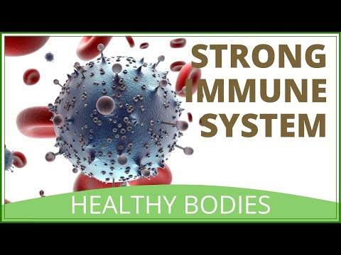 How To Increase White Blood Cells | How To Increase Immune System