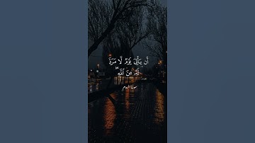 فأقم وجهك للدين القيم من قبل أن يأتي يوم لا مرد له من الله يومئذ يصدعون = سورة الروم = سعد الغامدي