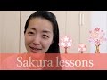 Sakura lesson 〜 6 things what sakura tells us 〜