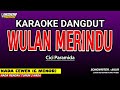 Wulan Merindu Karaoke Dangdut by Cici Paramida 🎤