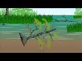 Krantz Buried Cypress Video - The Oldest Cypress for sale in world Krantz Buried Cypress Video - The Oldest Cypress for sale in world