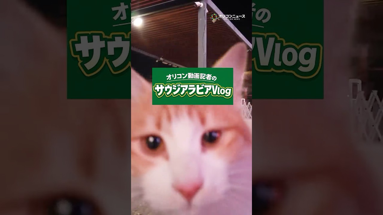 井上尚弥の試合を現地取材してきたオリコン動画記者のサウジアラビアVlog#2 #shorts