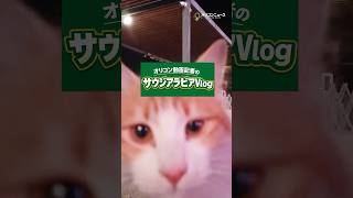 井上尚弥の試合を現地取材してきたオリコン動画記者のサウジアラビアVlog#2 #shorts