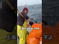 仲間の漁船は『イカナゴ』大漁でした😂👏‼️ #船長の日常