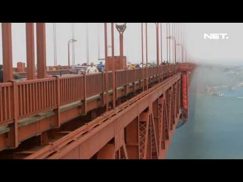 Video: Jambatan Terbaik Di Amerika Syarikat: Golden Gate, Brooklyn, New River Gorge Bridges