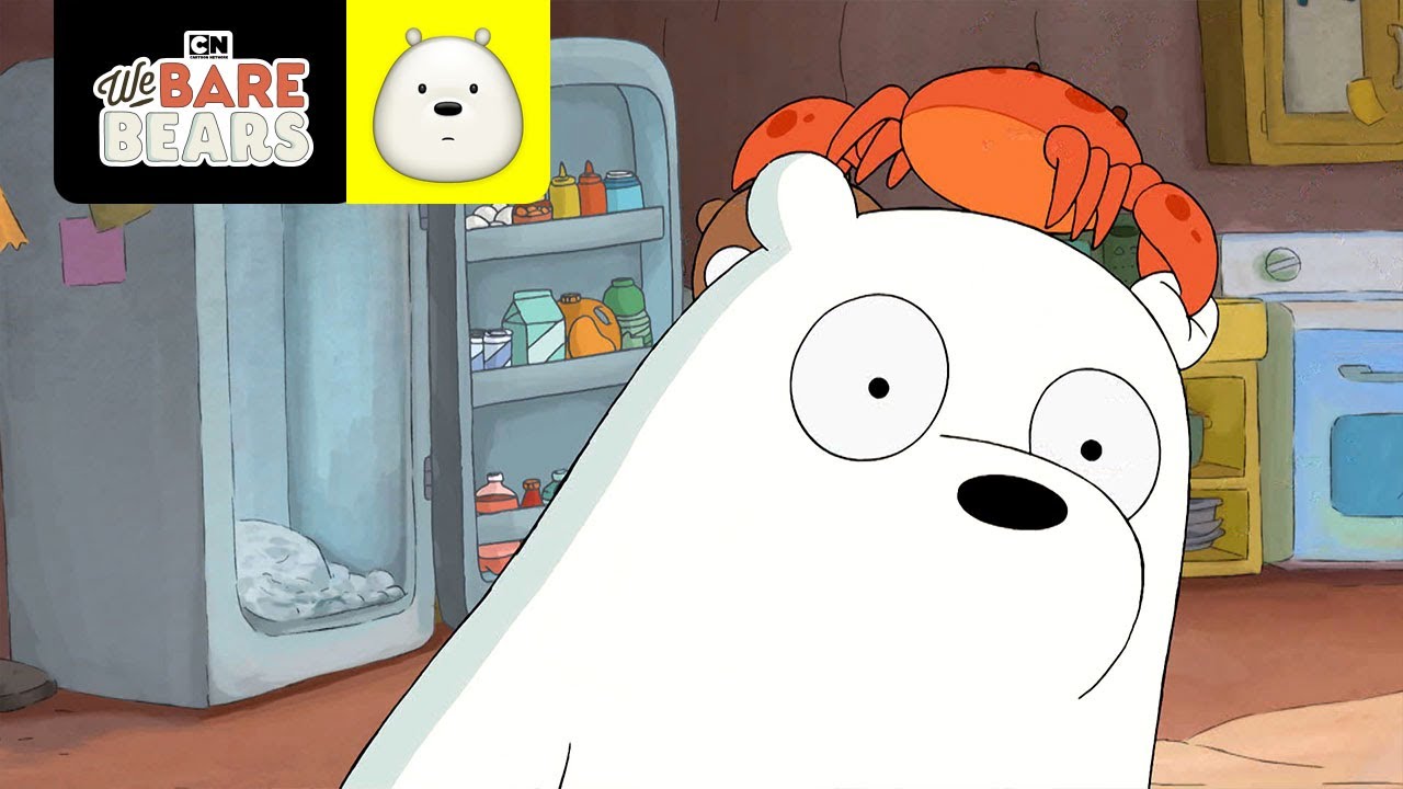 Polar e Caranguinho | Ursos sem Curso | Cartoon Network