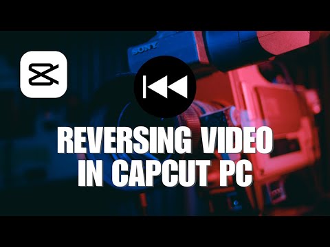 Reversing Video in CapCut PC