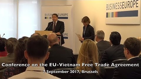Views on the EU-Vietnam Free Trade Agreement