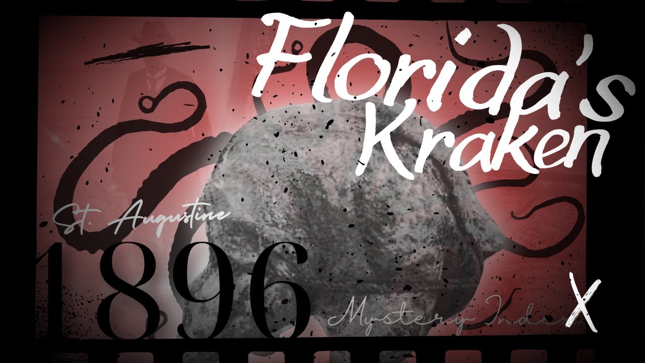 Experts Argued About This Blob For 100 Years | The St. Augustine Globster