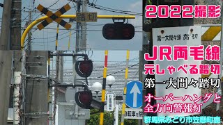 JR両毛線 国定～岩宿 踏切（第一大間々道踏切）