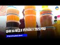 Ціни на мед в Україні у 2025 році побили рекорд