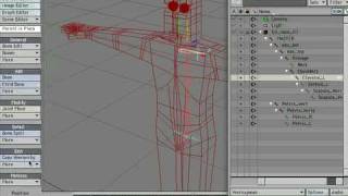 LIGHTWAVE RIGGING TUTORIAL - ZIG RIG 01.05 TORSO - MIRROR HIERARCHY
