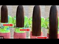 وصفة لتطويل وتكثيف الشعر بسرعة My Hair Oiling Routine Healthy Hair 