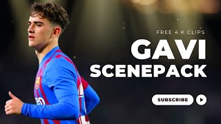 High Quality Gavi Clips For Editing Hd Footage Compilation