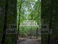 Life Lessons from Thoreau: walk in the rain #rainsounds #rain #nature #outdoors
