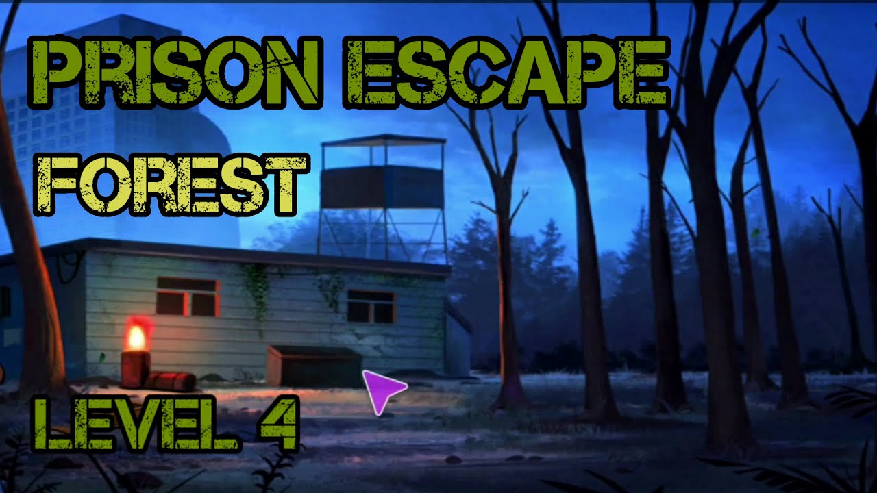 Prison Escape Puzzle Chapter 4 Into The Forest Walkthrough (Big Giant  Games) 